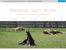 Tablet Screenshot of mariposasporthorses.com